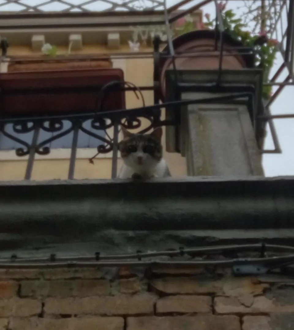 Appartement Casa Moresca Venetië